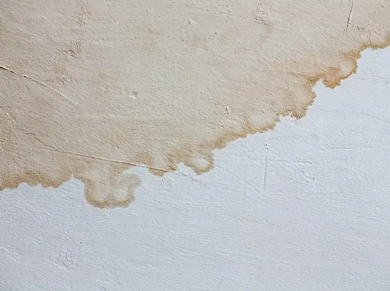 A brown water stain spreading across ceiling drywall under a roof leak